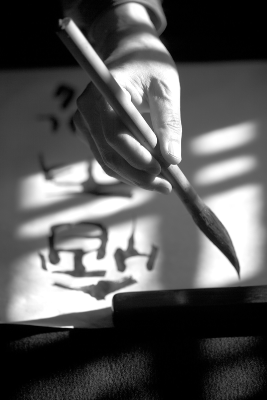 The gesture of calligrapher Takahashi. Fotografo ritratti Saronno