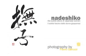 Nadeshiko NewBook 02 300x195 Nadeshiko NewBook 02 